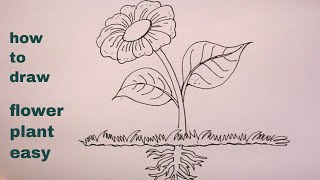 How TO Draw flower plant step by stepplant drawing [upl. by Lawford]