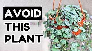 10 Popular Plants You Shouldnt Buy [upl. by Trust]