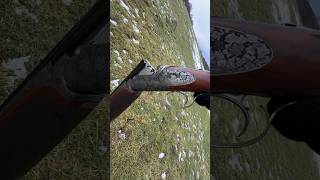 Driven Shooting Shotgun Pheasant bonnyscotland [upl. by Annayk704]