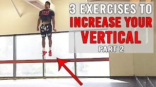 3 Exercises To INCREASE YOUR VERTICAL Pt2  JUMP HIGHER  The Lost Breed [upl. by Werd410]