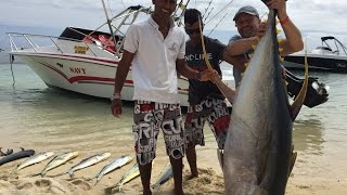 Big Game Fishing Mauritius Le Morne 200lb Yellowfin Tuna and Dorado [upl. by Mcquoid284]