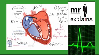 Cardiology Resetting your Hearts Rhythm [upl. by Feingold641]