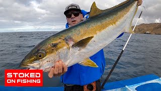 Stoked to Be Back in Cedros Island Yellowtail Fishing [upl. by Orlene]