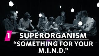 Superorganism quotSomething For Your MINDquot  1LIVE Session [upl. by Dehlia490]