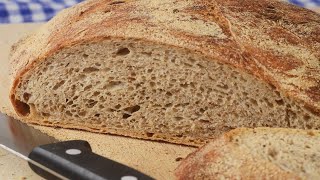 No Knead Rye Bread Recipe Demonstration  Joyofbakingcom [upl. by Carilyn]