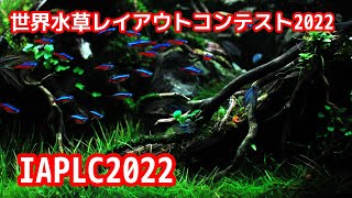 No173【IAPLC2022】 煌めきの水没林【応募作品】 [upl. by Rofotsirk]