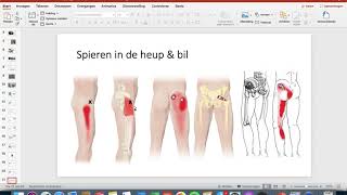 UitlegTheorie Triggerpoints amp Referred pain Wat zijn triggerpoints [upl. by Ramiah]