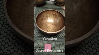 Harmonic Resonance of the Full Moon Singing Bowl  Root Chakra C note Muladhara [upl. by Averell]