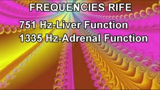 Healing RIFE FREQUENCIES751 Hz1335 HzStimulates amp Normalizes Body FunctionsEmotional amp Physical [upl. by Yentruocal]