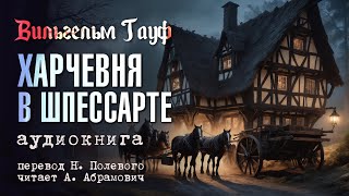 Аудиокнига Фэнтези про попаданцев [upl. by Idhem]