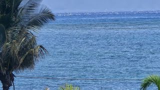 kahoolawe where maui beach vacation club ⛱️ [upl. by Eedrahc]