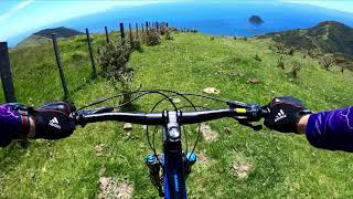 2019 Stony Bay Trail New Zealand [upl. by Nymassej]