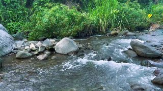 Relaxing River Sound for stress reliever helps deep sleep for meditation and yoga white noise [upl. by Leunamme]