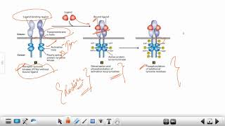 CSIR 2020 November 1st Shift PYQs  Miller Experiment Trypsin Digestion  Receptor Tyrosine Kinase [upl. by Layla]