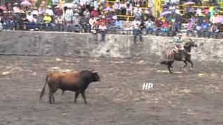 Toro quotRancheritoquot de Faenas Bravas en Caracheo Gto  20 de Octubre 2013 [upl. by Pennington374]