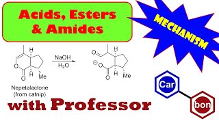 Lactone hydrolysis reaction nepetalactone mechanisms Organic Chemistry Help Tutorial [upl. by Nevets200]