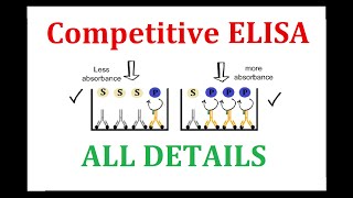 Competitive ELISA [upl. by Sellig]