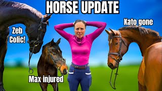 HORSE UPDATE  A LOT GOING ON  VLOG 115 [upl. by Timrek]