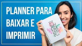 Planner 2024  baixe e imprima em casa [upl. by Nagram140]