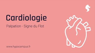 Signe du Flot  Palpation en Cardiologie [upl. by Cecilio]