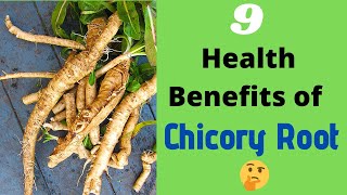 The 9 Health Benefits of Chicory Root 🌱 [upl. by Quent]