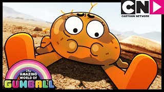 The List  Gumball  Cartoon Network [upl. by Niabi871]