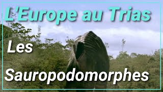 COMPARAISON DES SAUROPODES DEUROPE  TRIAS [upl. by Zonnya]