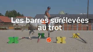 Exercice des barres surélevées au trot [upl. by Atsyrhc731]