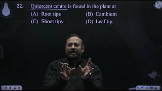 Quiescent centre is found in the plant at [upl. by Durrace]