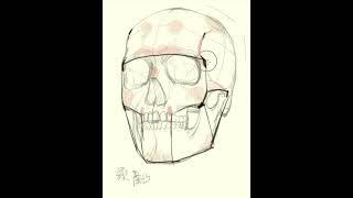 human art drawing｜How to mark the skull bone points Easy to follow steps [upl. by Ayotyal589]