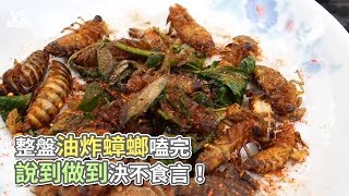 瘋男》整盤油炸蟑螂嗑完 說到做到決不食言！《VS MEDIA》 [upl. by Faun952]