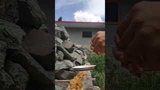 Drying apricot apricot apricotlove horticulture traditional viralvideo viralshorts organic [upl. by Esille]