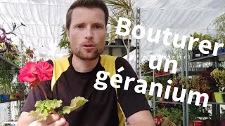 TUTO Bouturer des géraniums [upl. by Atterol]