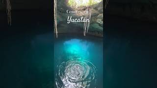 🇲🇽 Cuántos cenotes hay en Yucatán Descúbrelo [upl. by Nimsay]