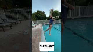 HOW ANIMALS JUMP INTO WATER P2 [upl. by Sezen]