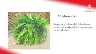 Tropismos y nastias – Octavo Grado – Ciencias Naturales [upl. by Ithsav457]