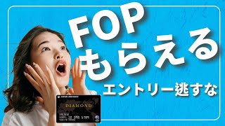 【JAL修行】JALカード初回搭乗ボーナス5000FOP必要か？ [upl. by Fiore]