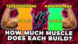 300 MG Testosterone Vs 300 MG Nandrolone  Exactly How Much Muscle Does Each Build [upl. by Atirak]