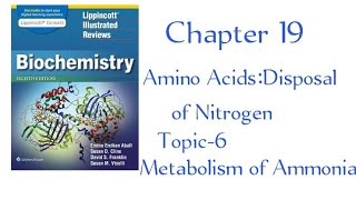 Metabolism of Ammonia chapter 19 Lippincott biochemistry Aminoacidsanddisposalofnitrogen [upl. by Nodroj730]