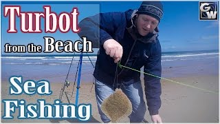 Fishing Druridge Bay  Turbot from the beach [upl. by Michon]