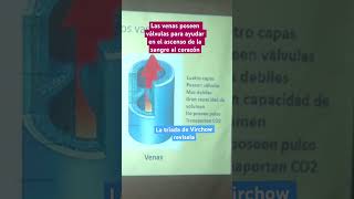 ¿CUÁL ES EL TRATAMIENTO PARA LA INSUFICIENCIA VENOSA [upl. by Tewfik]