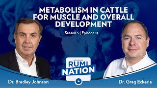 S5E11  Metabolism in Cattle for Muscle and Overall Development with Dr Bradley Johnson [upl. by Floss]