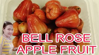 BELL ROSE APPLE FRUIT MACOPA IN THE PHILIPPINES fruit rose bell apple [upl. by Anitroc11]