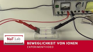 Beweglichkeit von Ionen – Experiment für den Unterricht Chemie [upl. by Bower]