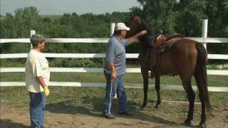 Gain Hindquarter Control of Your Horse [upl. by Lilia580]