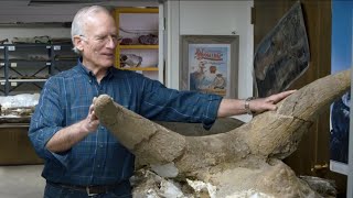 10000 Dinosaurs Buried in Wyoming During Noahs Flood  Dr Arthur Chadwick [upl. by Nixie539]