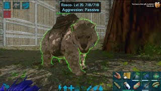 Direbear Taming  ARK Mobile [upl. by Herson609]