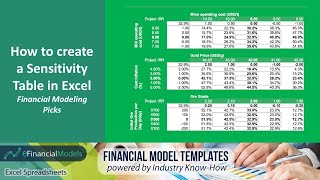 How to create a sensitivity table in Excel [upl. by Reiser418]