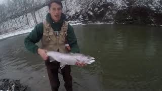 Winter Steelhead Fishing 18 Mile Creek [upl. by Eahc]