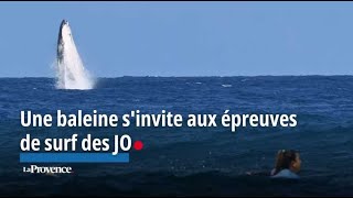 JO2024  une baleine sinvite aux épreuves de surf et fait le show [upl. by Resarf]